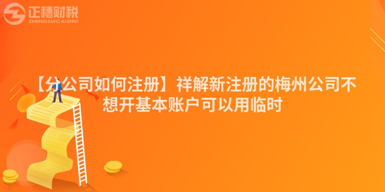 【分公司如何注冊】祥解新注冊的梅州公司不想開基本賬戶可以用臨時