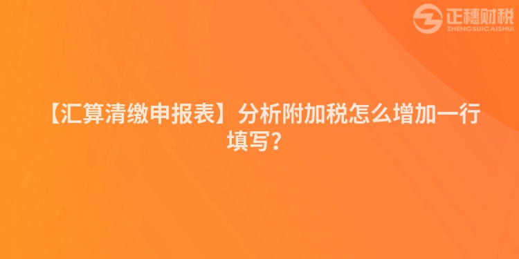 【匯算清繳申報表】分析附加稅怎么增加一行填寫？