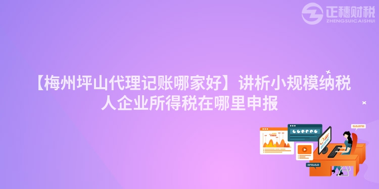 【梅州坪山代理記賬哪家好】講析小規模納稅人企業所得稅在哪里申報
