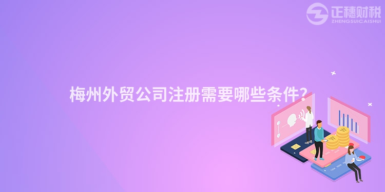 梅州外貿公司注冊需要哪些條件？