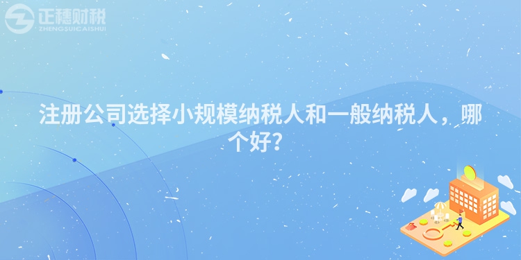 注冊(cè)公司選擇小規(guī)模納稅人和一般納稅人，哪個(gè)好？
