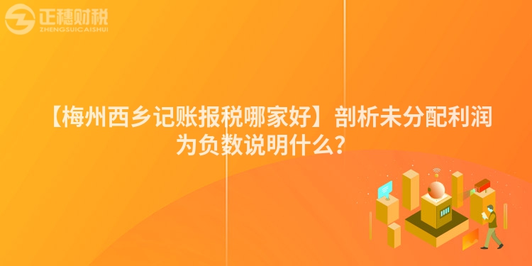 【梅州西鄉(xiāng)記賬報稅哪家好】剖析未分配利潤為負數(shù)說明什么？