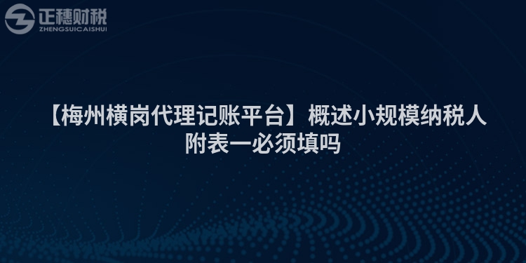 【梅州橫崗代理記賬平臺】概述小規(guī)模納稅人附表一必須填嗎
