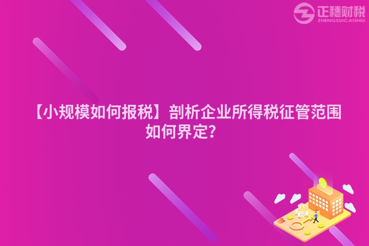 【小規(guī)模如何報稅】剖析企業(yè)所得稅征管范圍如何界定？
