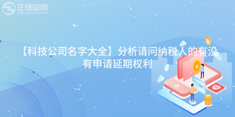 【科技公司名字大全】分析請問納稅人的有沒有申請延期權利