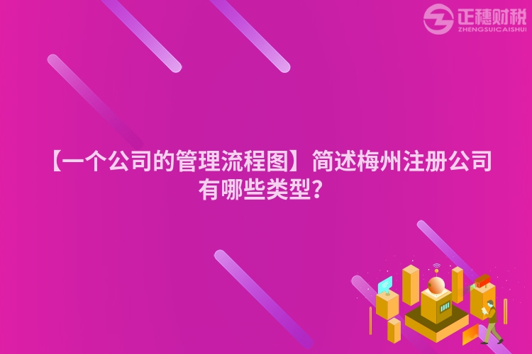 【一個公司的管理流程圖】簡述梅州注冊公司有哪些類型？